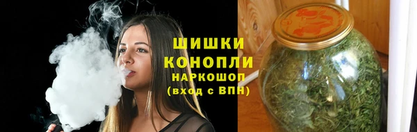 стаф Козельск