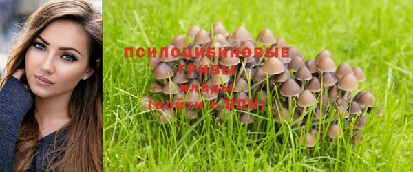 MESCALINE Козловка