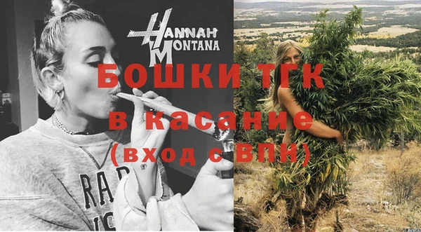 стаф Козельск