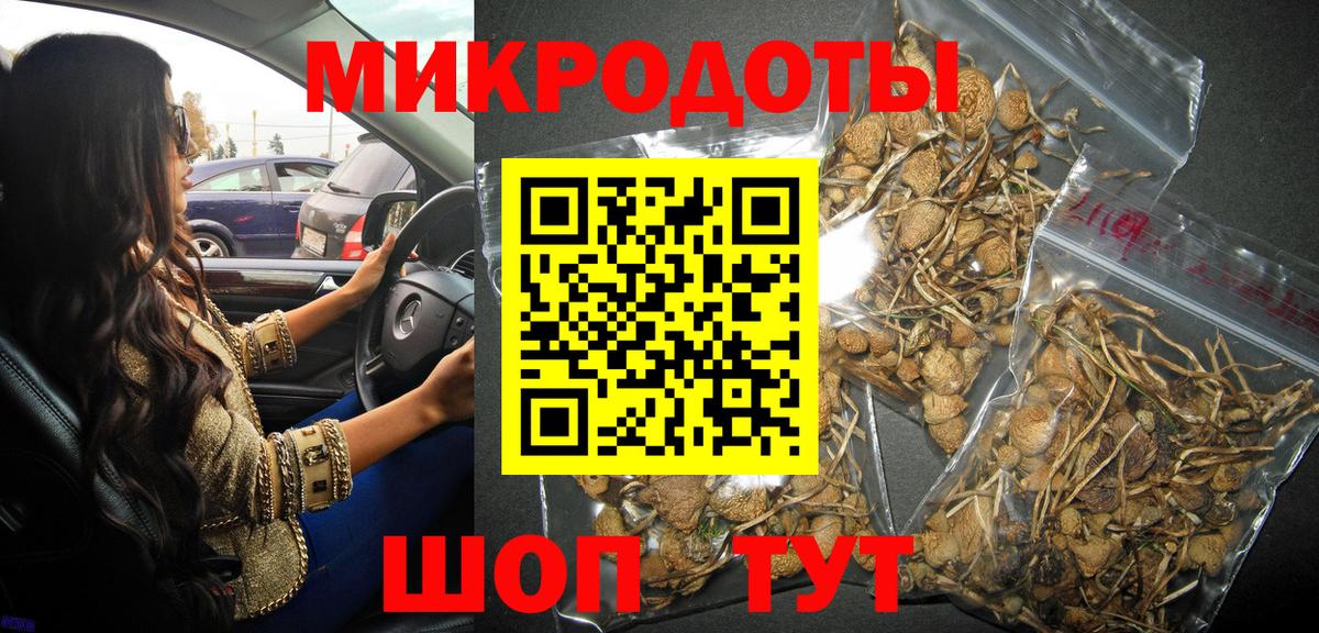 Псилоцибиновые грибы Magic Shrooms  Сыктывкар 