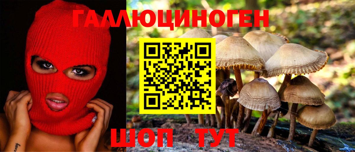 где купить наркоту  Вход с VPN  Сыктывкар  Галлюциногенные грибы GOLDEN TEACHER 